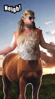 Centaur Neigh GIF by TheGeeksAttic