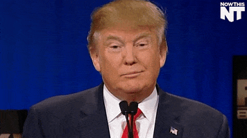 donald trump lol GIF by NowThis