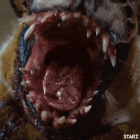 season 3 starz GIF by Ash vs Evil Dead