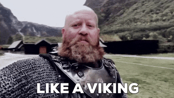 Vikings GIF by Vinnie Camilleri Vikings GIF by Vinnie Camilleri