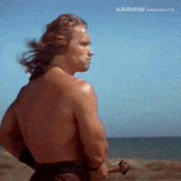 Arnold Schwarzenegger Film GIF by Arrow Video Arnold Schwarzenegger Film GIF by Arrow Video