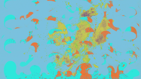 Random GIF