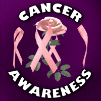 Pink Rose Health GIF