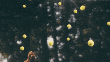 edgar love someone GIF by Brett Eldredge