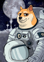 To The Moon Astronaut GIF by Doge Pound