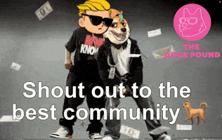 Dogecoin Wall Street Bets GIF by The Doge Pound 