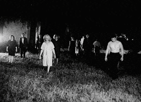Night Of The Living Dead Zombies GIF by Filmin