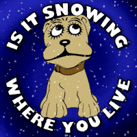 Snow Puppy GIF