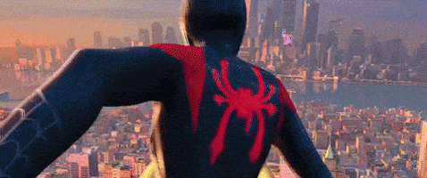 Spider-Man GIF by Spider-Man: Into The Spider-Verse