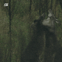 Bitch Slap Slapping GIF by Supercars Championship