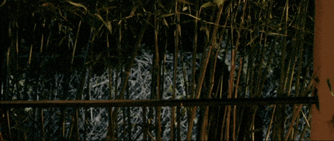 Music Video Radio GIF by Casanova Records