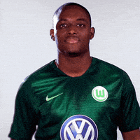 france hello GIF by VfL Wolfsburg