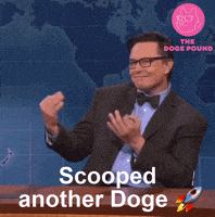 Elon Musk Nft GIF by The Doge Pound