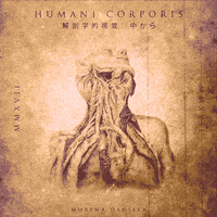 music video vintage GIF by Morena Daniela