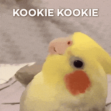 Birdsong gif