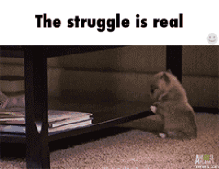 Struggle gif