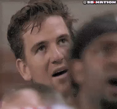 wtf GIF