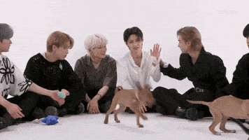 K-Pop Stray Kids GIF by BuzzFeed
