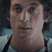 Jeremy Allen White GIF by The Bear