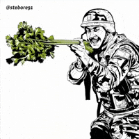 Marine Corps Birthday Peace GIF