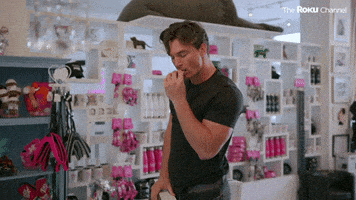 Barkitecture GIF by The Roku Channel