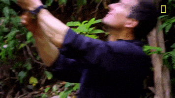 Zachary Quinto Panama GIF by National Geographic Channel