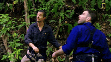 Zachary Quinto Panama GIF by National Geographic Channel