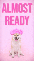 Yeah Right Waiting GIF by Sealed With A GIF