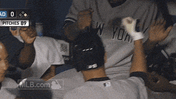new york yankees baseball GIF by MLB