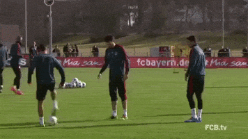 Soccer Bundesliga GIF by FC Bayern Munich