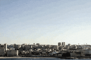 loop city GIF by A. L. Crego