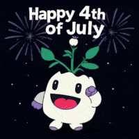 4Th Of July Fireworks GIF by Magic Eden