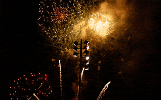 fourth of july fireworks GIF by hateplow