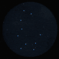 Summer Star GIF by Aflac Duck