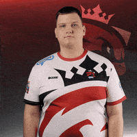 Adi Ok GIF by Austrian Force eSports