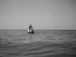 Sound And Vision Water GIF by Beeld en Geluid