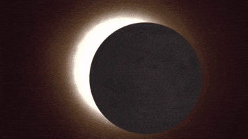 Solar Eclipse GIF by NASA Solar Eclipse GIF by NASA