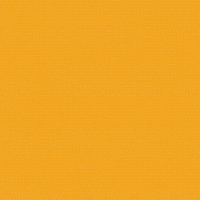 Talent GIF by BDHCollective