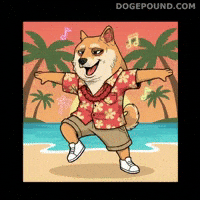 Happy Good Vibes GIF by Doge Pound