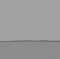 i love you dogs GIF by Chippy the Dog