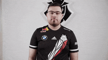 No Way Facepalm GIF by G2 Esports
