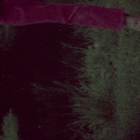 art girl GIF by Liaizon Wakest