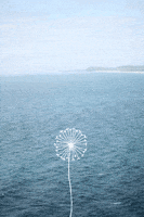 make a wish love GIF