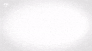 Red Bull Celebration GIF by FC Red Bull Salzburg