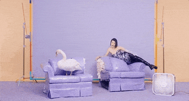 st. vincent GIF