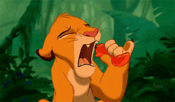 lion king simba GIF