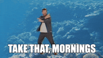 You Got This School Bus GIF by ShreddiesUK