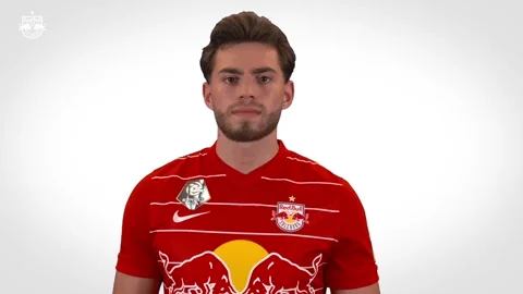 Red Bull Esports GIF