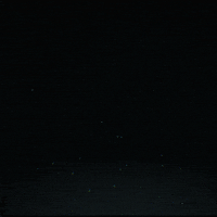 black and white snow GIF by Erica Anderson