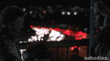 tv land kiss GIF by nobodies.